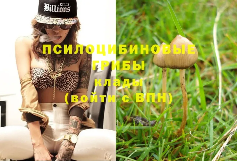 Псилоцибиновые грибы Magic Shrooms Бор